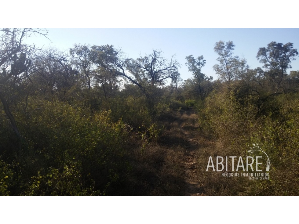 VENDO 188 HAS EN LOS PEREYRA - V. ROBLES - SANTIAGO DEL ESTERO - 4
