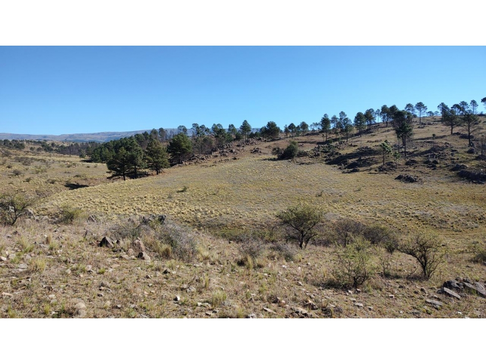 VENDO 5 HAS DE CAMPO EN PAMPA ALTA - POTRERO DE GARAY - 3