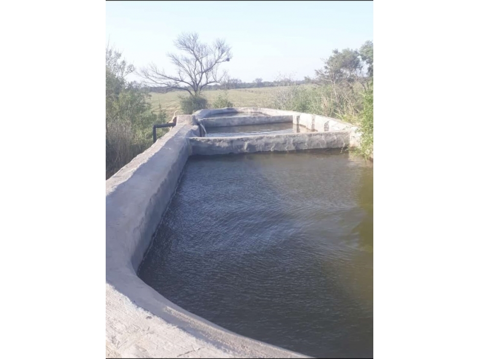 Campo Agrícola en Venta | 172 ha |· Real Sayana, Stgo del Estero - 6