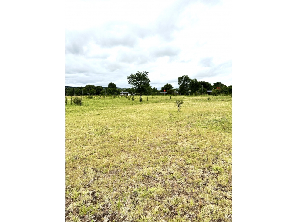 EXCELENTE OPORTUNIDAD - VENDO LOTES DE 1.133 MTS EN LOS REARTES - 4