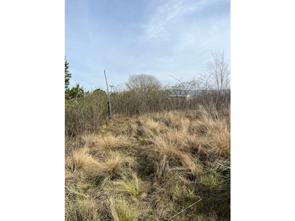VENDO LOTE DE 1743 MTS EN YACANTO - 2