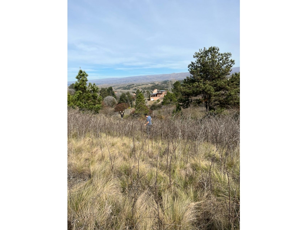 VENDO LOTE DE 1743 MTS EN YACANTO - 3
