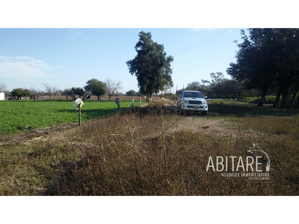 VENDO 188 HAS EN LOS PEREYRA - V. ROBLES - SANTIAGO DEL ESTERO - 3