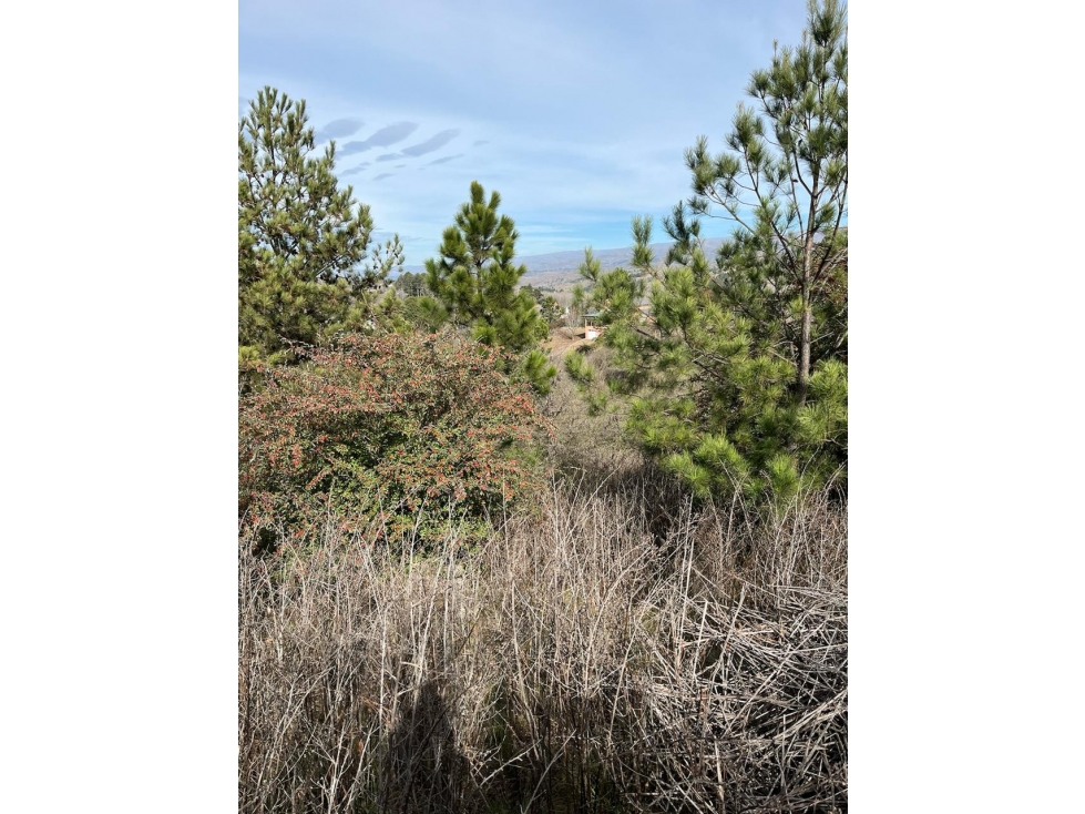 VENDO LOTE DE 1743 MTS EN YACANTO - 4