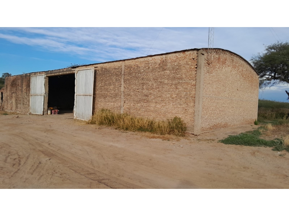 Campo Agrícola en Venta | 172 ha |· Real Sayana, Stgo del Estero - 4