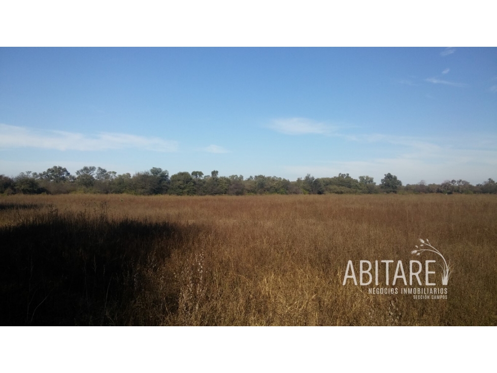 VENDO 188 HAS EN LOS PEREYRA - V. ROBLES - SANTIAGO DEL ESTERO - 2