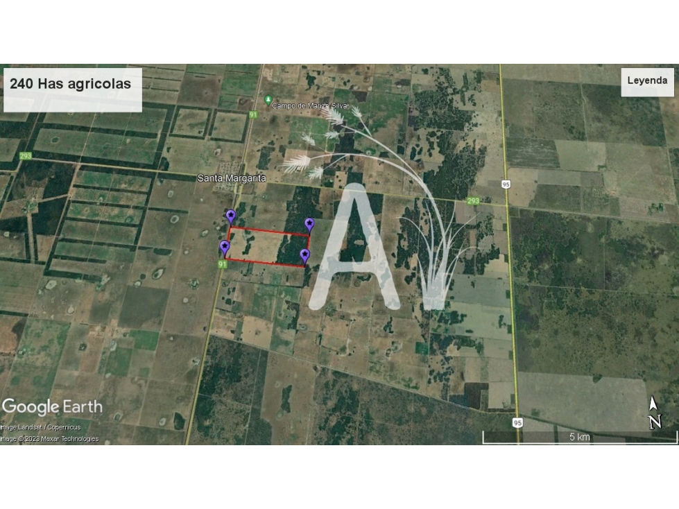 VENDO 225 HAS AGRICOLAS - SANTA MARGARITA - 3