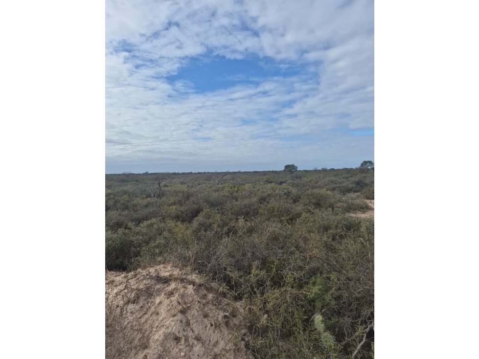 VENDO 840 HAS. DE CAMPO EN QUEBRACHO - SANTIAGO DEL ESTERO - 6