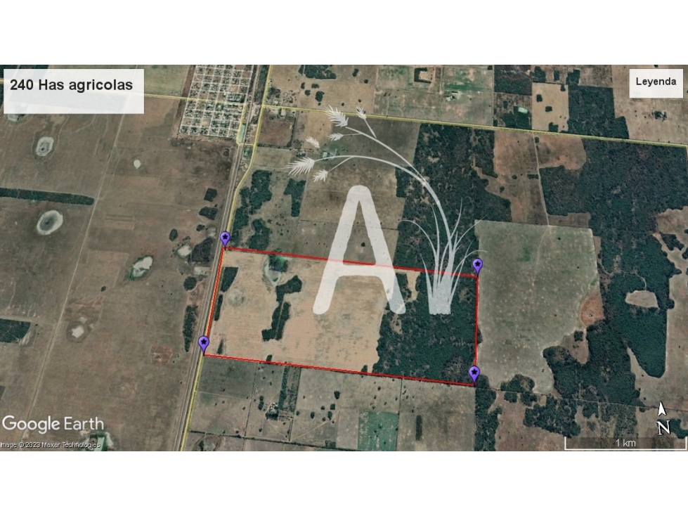 VENDO 225 HAS AGRICOLAS - SANTA MARGARITA - 4