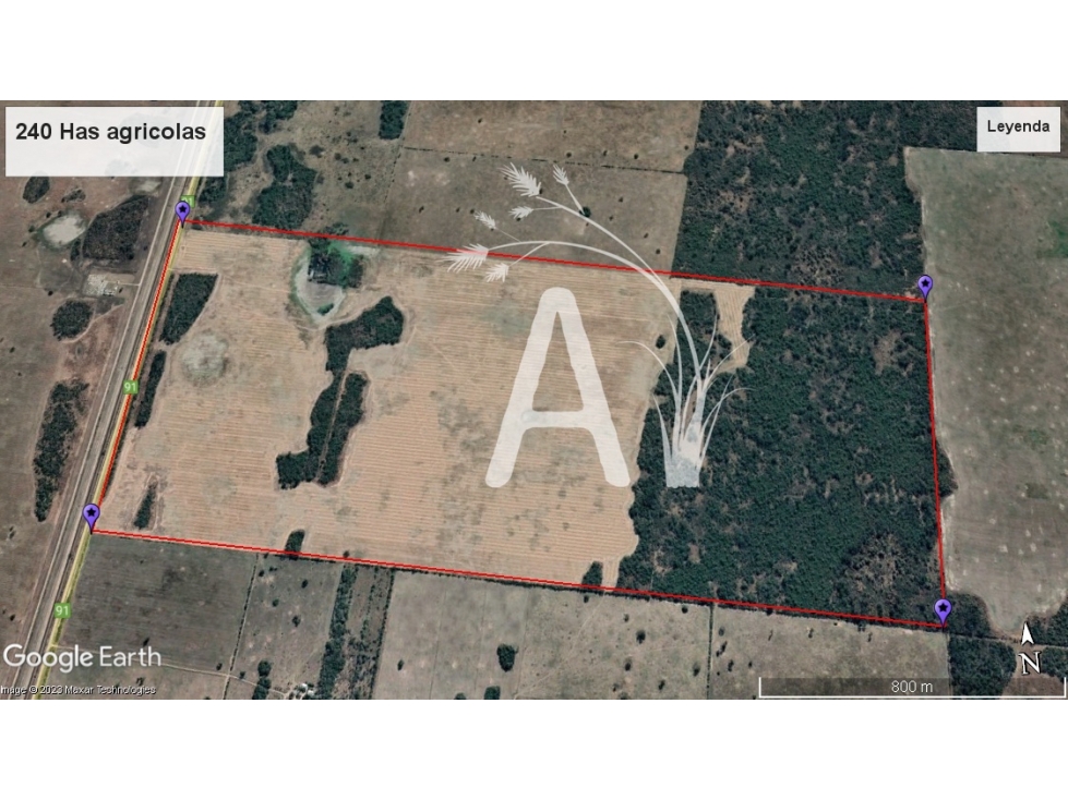 VENDO 225 HAS AGRICOLAS - SANTA MARGARITA - 5