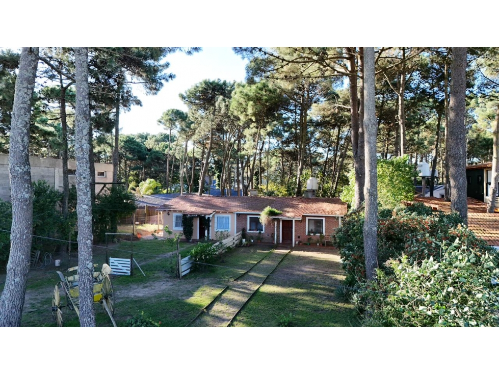 LOTE COMERCIAL + VIVIENDA EN PINAMAR - 2