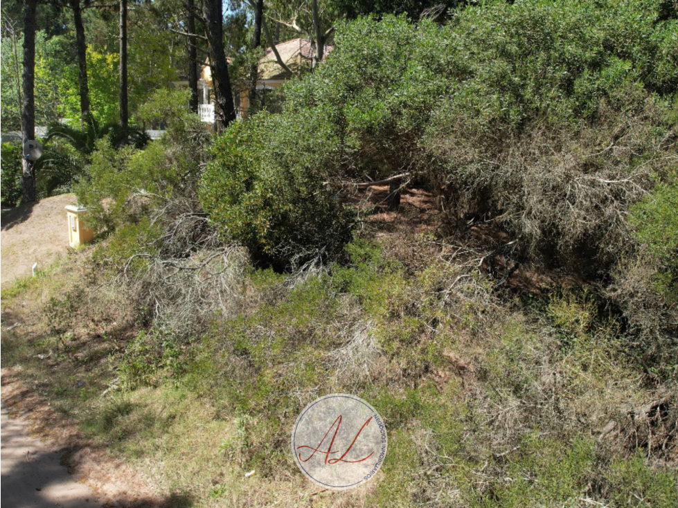 Lote en venta en carilo | Paraiso y tero - 3