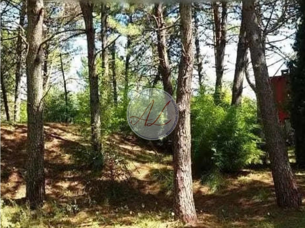 LOTE EN MAR DE LAS PAMPAS CALLE EN ALBATROS "UBICACIÓN PRIVILEGIADA " - 3