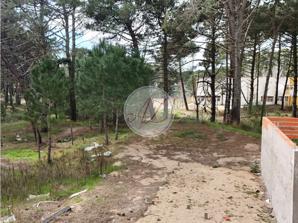 LOTE EN OPORTUNIDAD EN VENTA | TOMA VEHÍCULO - 2