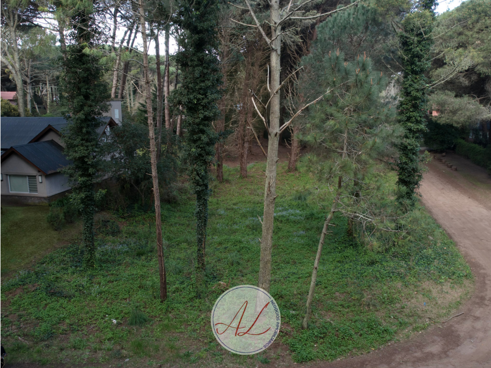Lote en venta en carilo - Urraca - 3