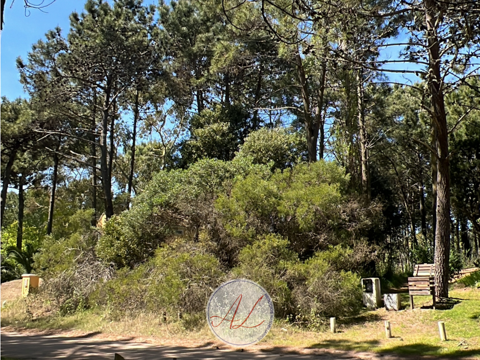 Lote en venta en carilo | Paraiso y tero - 4