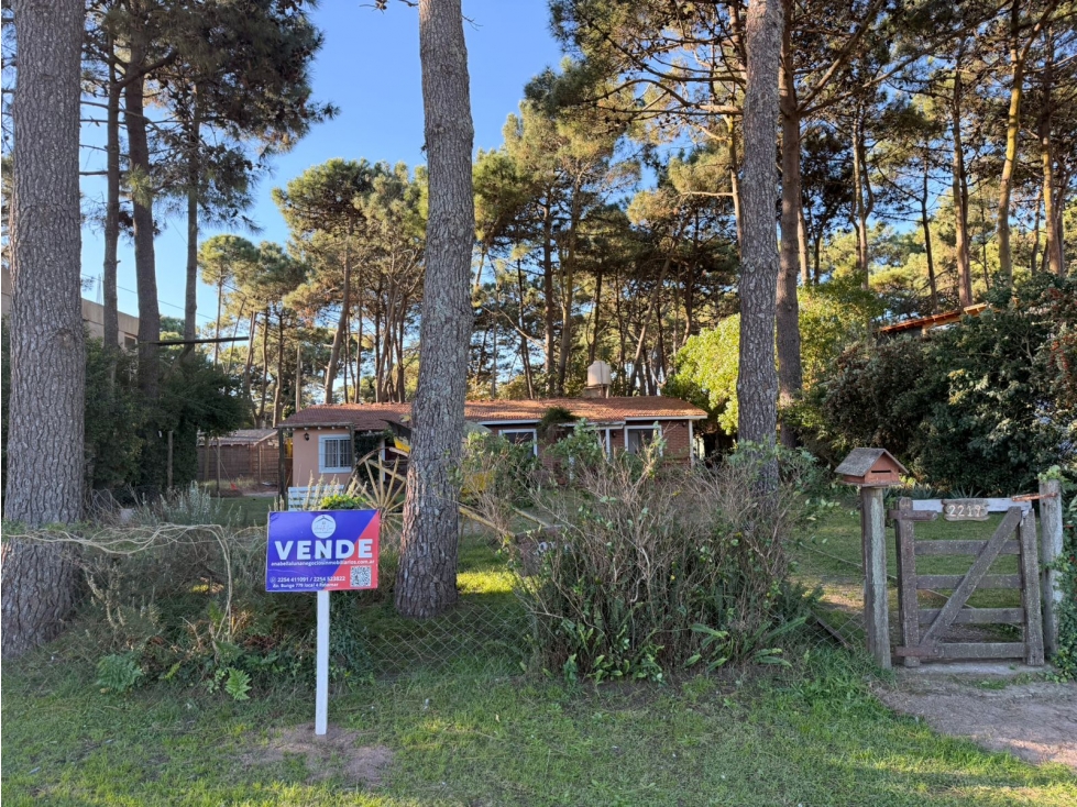 LOTE COMERCIAL + VIVIENDA EN PINAMAR - 5