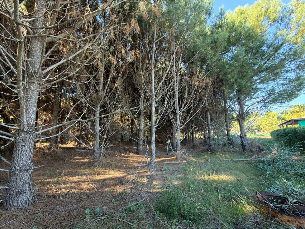 LOTE BARRIO NAYADES - PINAMAR - 6