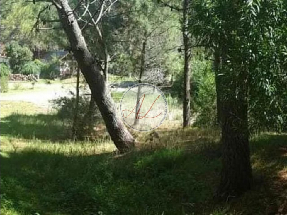 LOTE EN MAR DE LAS PAMPAS CALLE EN ALBATROS "UBICACIÓN PRIVILEGIADA " - 6
