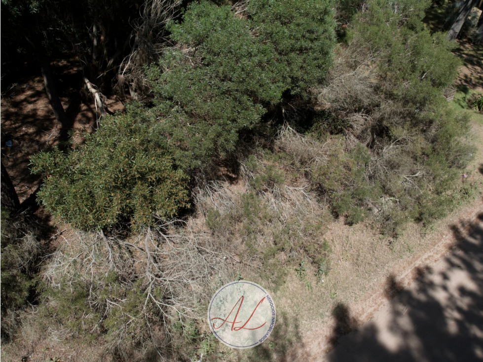 Lote en venta en carilo | Paraiso y tero - 6