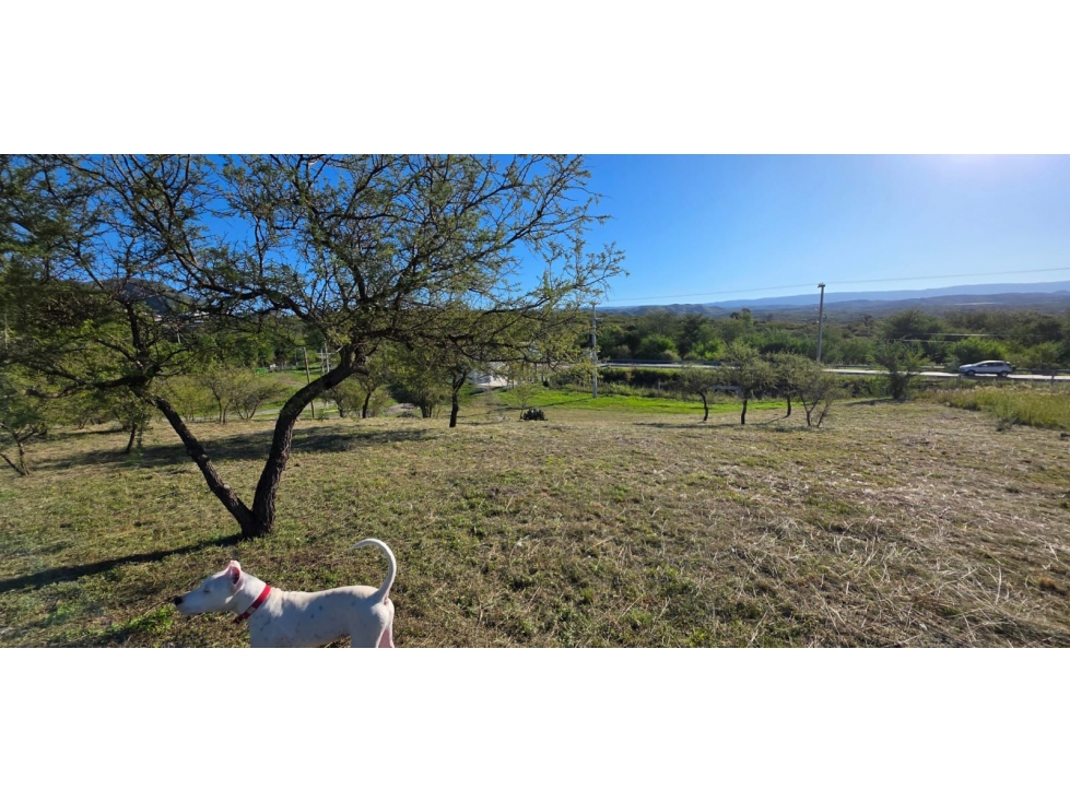 VENTA LOTE 1150m2 B° LAS JARILLAS DEL BOSQUE-SAN ANTONIO - 2