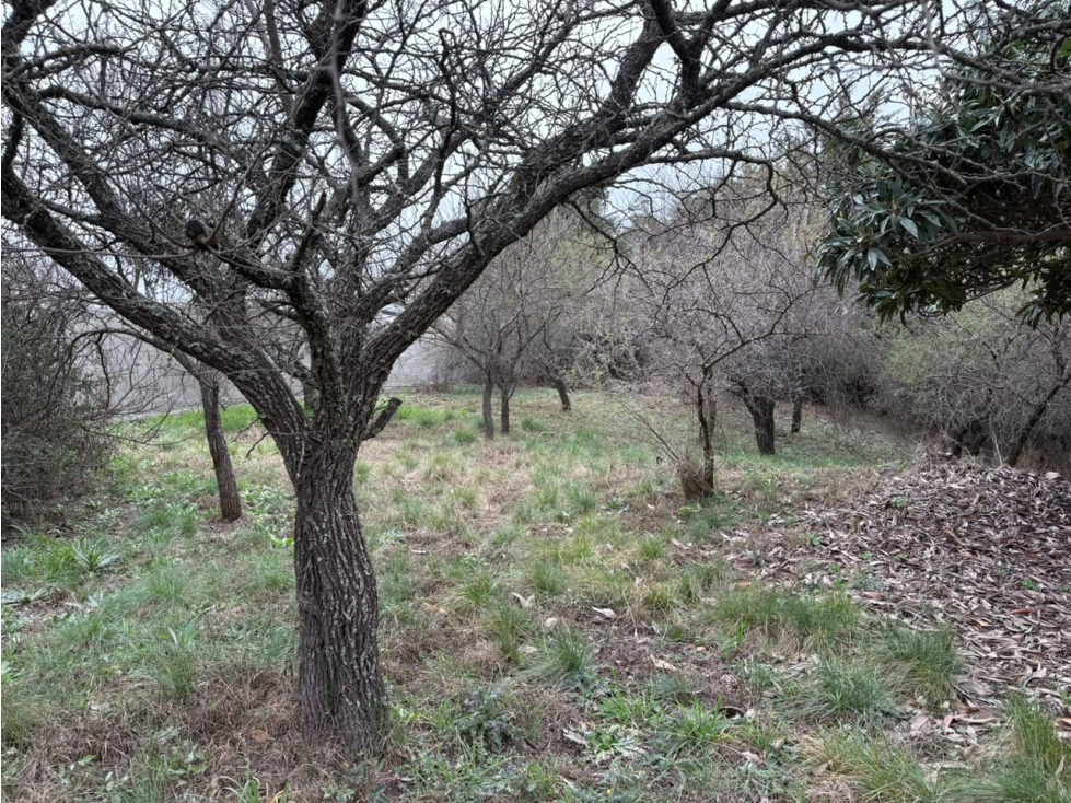 VENTA LOTE 700m² | A 200 METROS DEL RIO| SAN ANTONIO - 4