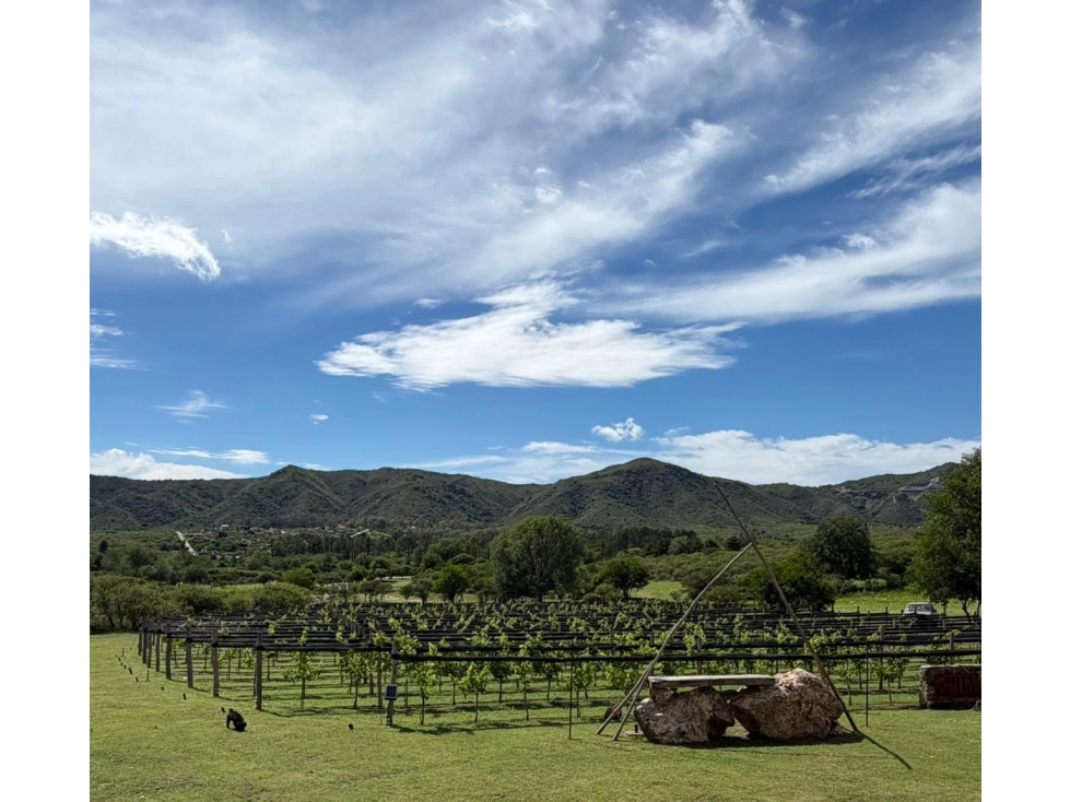 VENTA LOTE 4.072 m² VISTAS A LAS SIERRAS | SAN ANTONIO DE ARREDONDO - 4