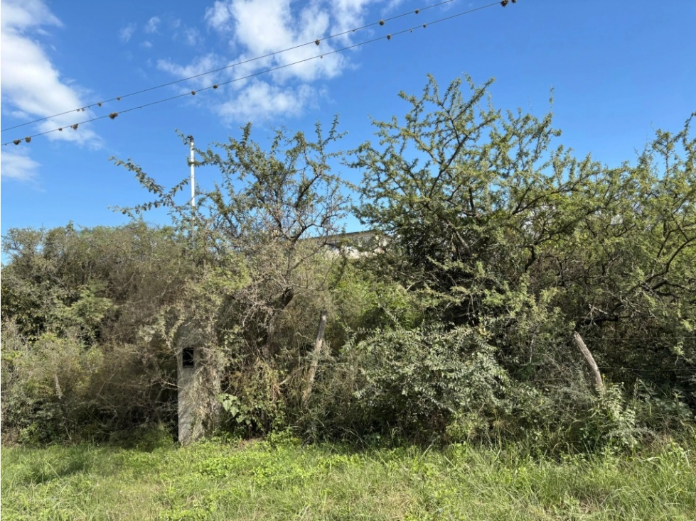 VENTA LOTEO I APTO DESARROLLO PRÓXIMO A B° CAUSANA MALAGUEÑO - 5