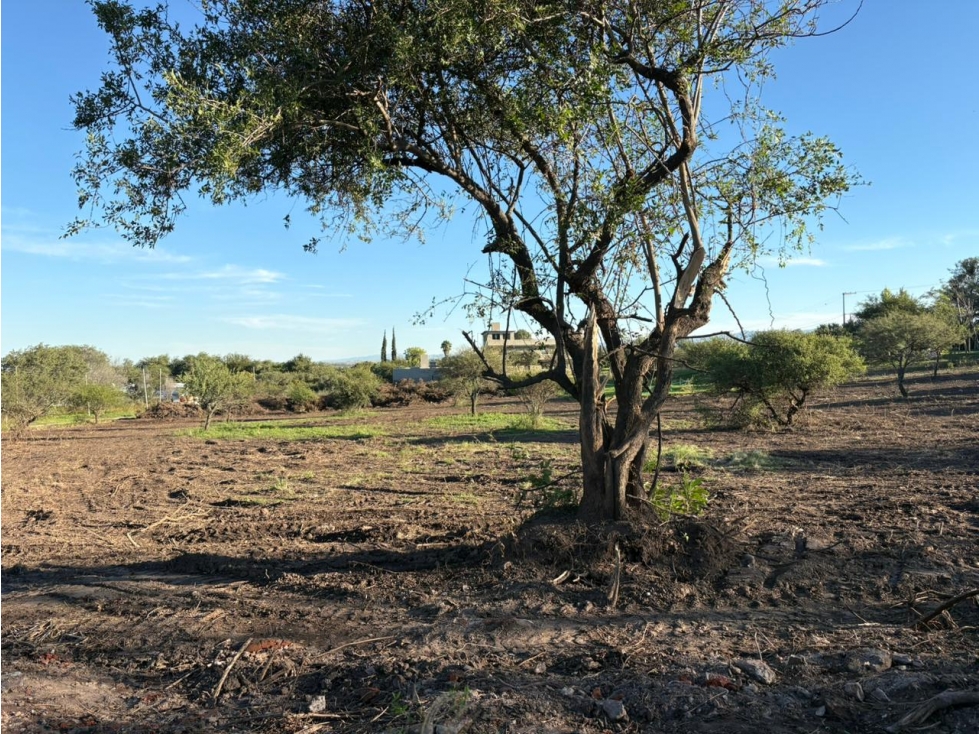 ALQUILER LOTE COMERCIAL 5.000m² MALAGUEÑO / LINDANTE A B° CAUSANA  - 3