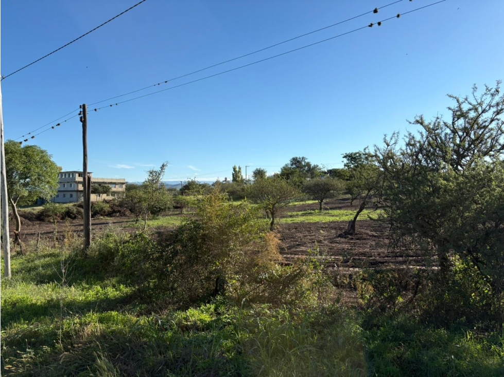 ALQUILER LOTE COMERCIAL 5.000m² MALAGUEÑO / LINDANTE A B° CAUSANA  - 5