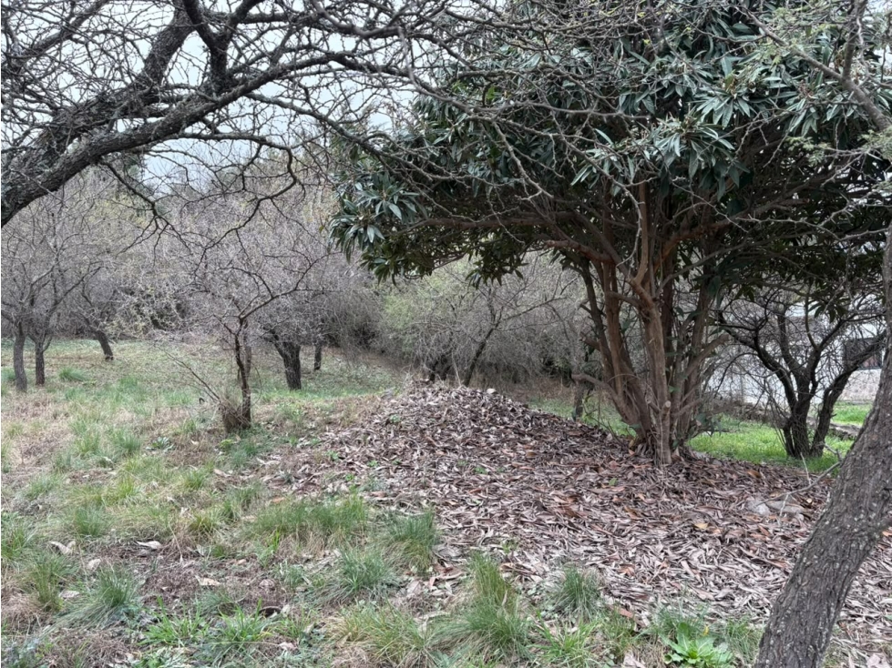VENTA LOTE 700m² | A 200 METROS DEL RIO| SAN ANTONIO - 5