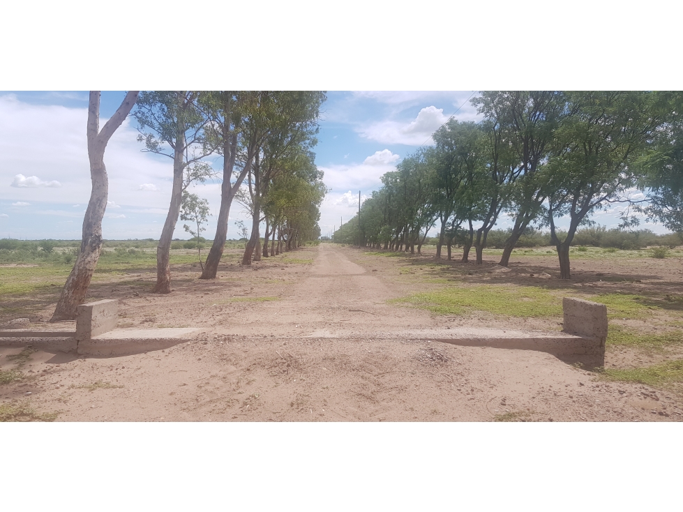 VENDE FINCA DE 1.300 HAS, UBICADA EN LAS CATITAS, MENDOZA. - 1