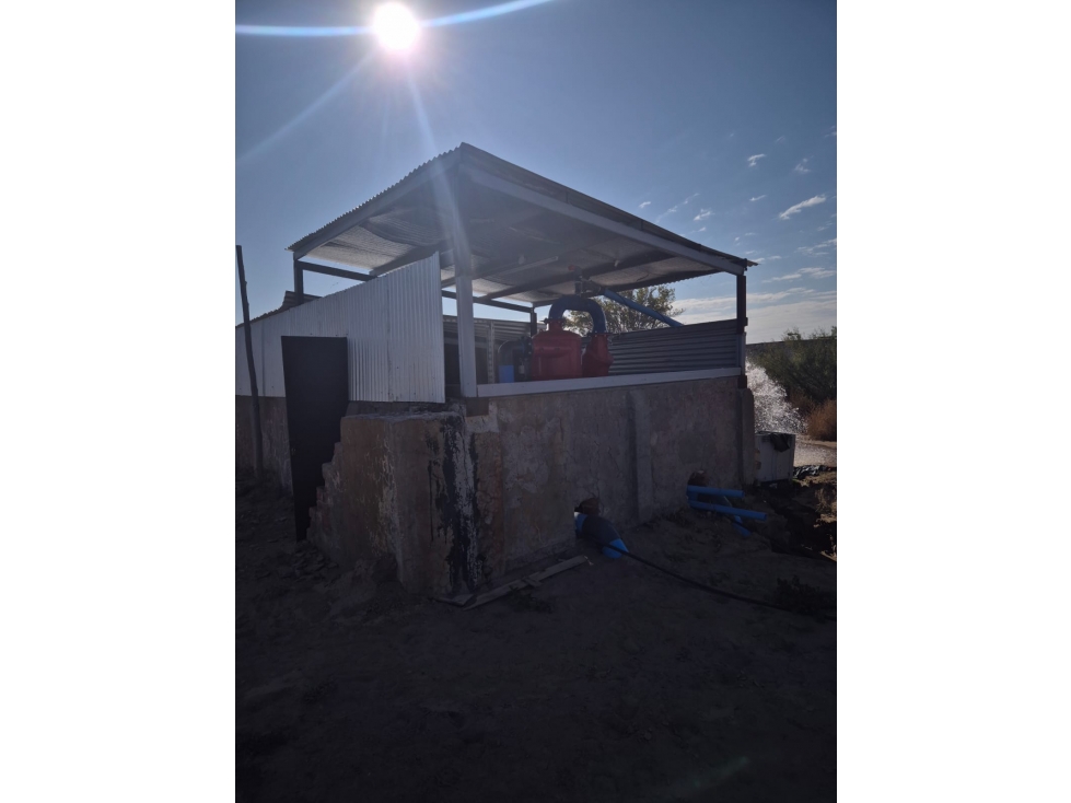 VENDE Finca de 60 Has. Montecaseros, San Martín, Mendoza. - 4