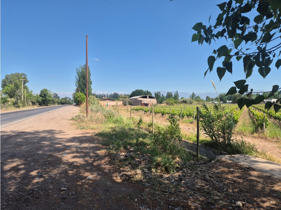 VENDE LOTEO EN LUNLUNTA, MAIPÚ, MENDOZA. - 2