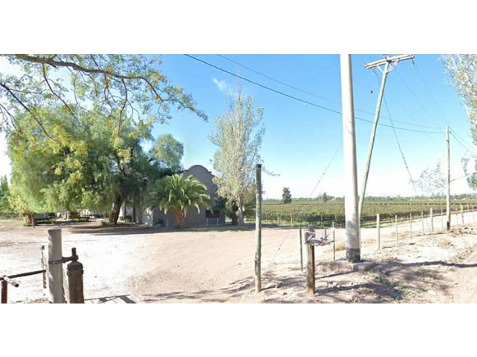 VIÑEDOS EN BARRANCAS MAIPÚ MENDOZA - 2