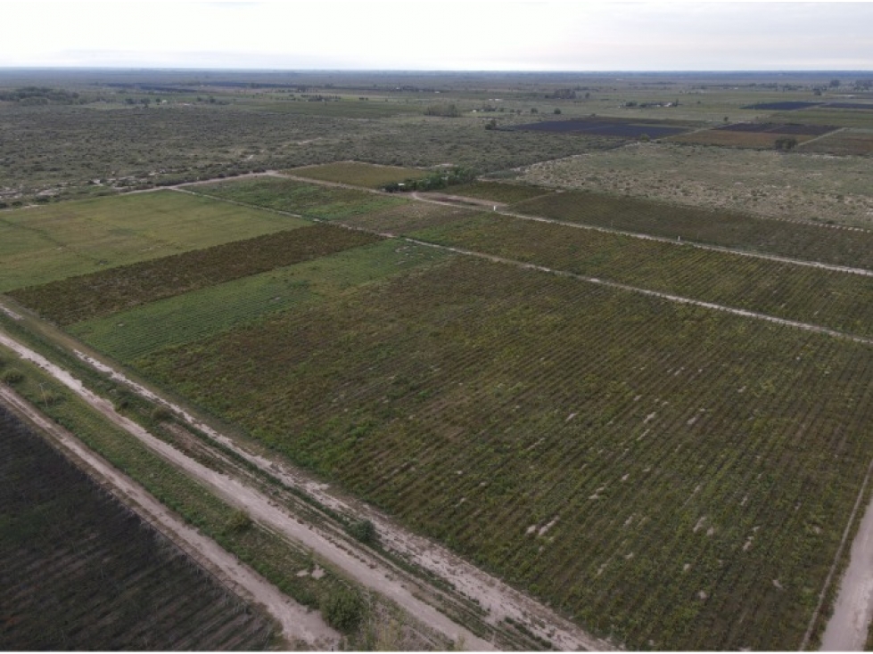 VENTA CONJUNTA DE 3 FINCAS CONTIGUAS - 2