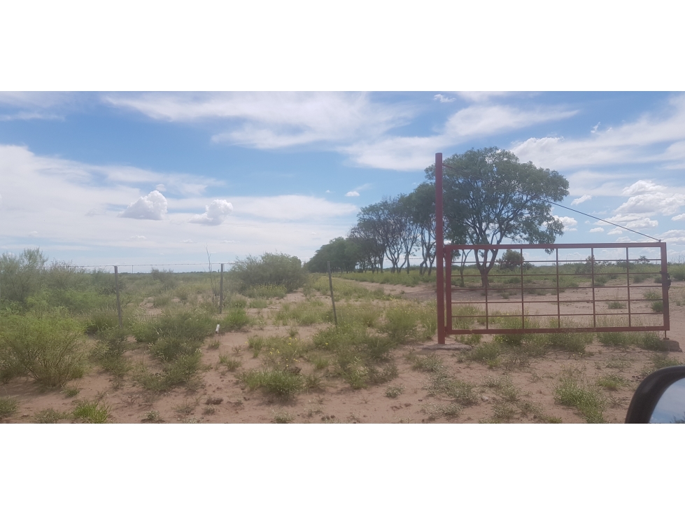 VENDE FINCA DE 1.300 HAS, UBICADA EN LAS CATITAS, MENDOZA. - 3