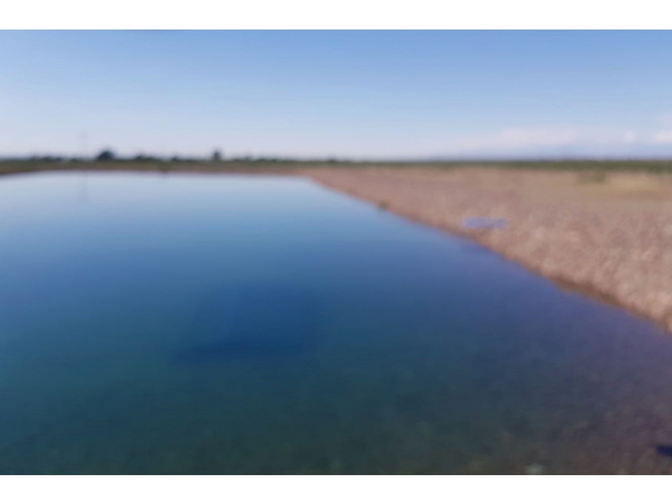 VENDE FINCA DE 86 HECTÁREAS, UBICADAS EN ANCHORIS, TUPUNGATO,MENDOZA - 3