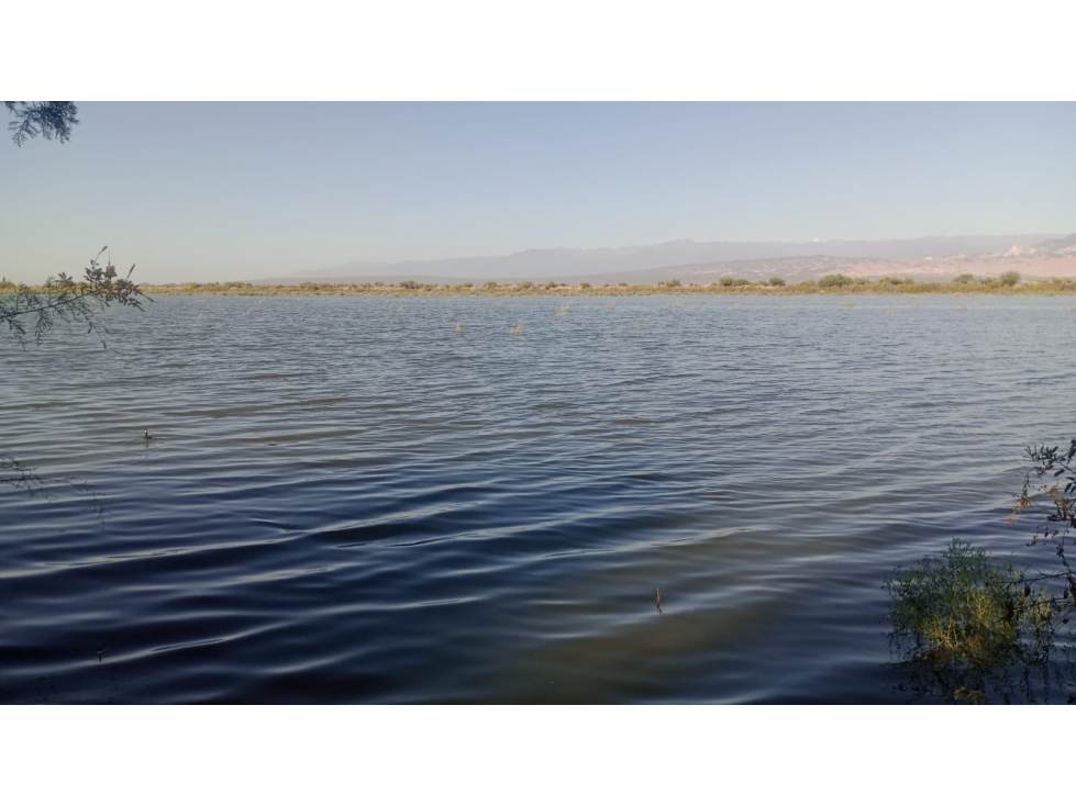 VENDE FINCA DE 886,38 HECTÁREAS, UBICADAS LAVALLE, MENDOZA - 3