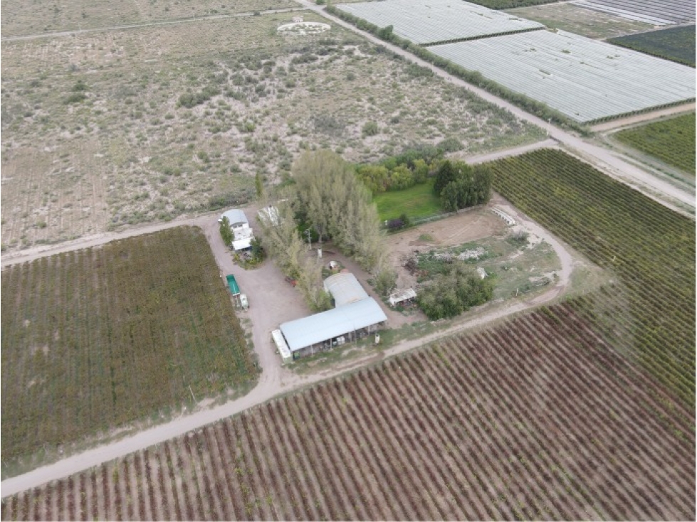 VENTA CONJUNTA DE 3 FINCAS CONTIGUAS - 3