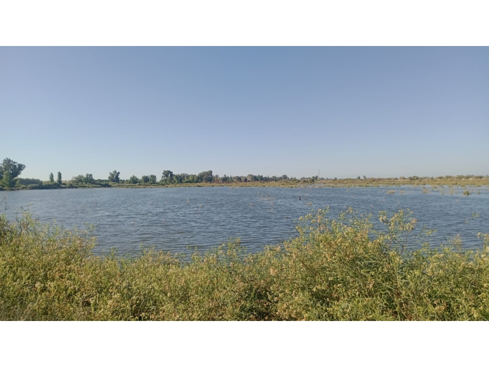 VENDE FINCA DE 886,38 HECTÁREAS, UBICADAS LAVALLE, MENDOZA - 4