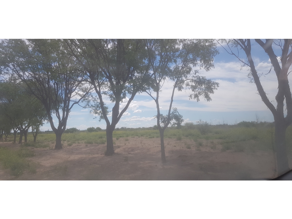 VENDE FINCA DE 1.300 HAS, UBICADA EN LAS CATITAS, MENDOZA. - 4