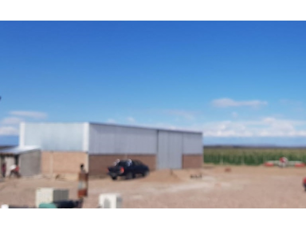VENDE FINCA DE 86 HECTÁREAS, UBICADAS EN ANCHORIS, TUPUNGATO,MENDOZA - 5