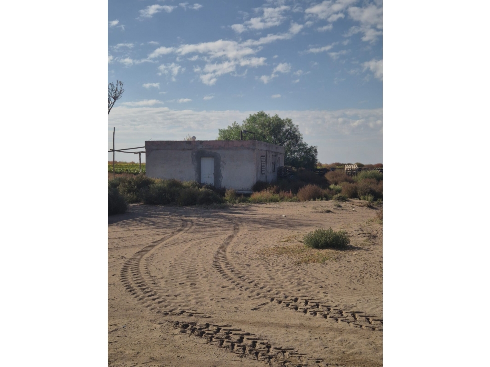 VENDE Finca de 60 Has. Montecaseros, San Martín, Mendoza. - 3