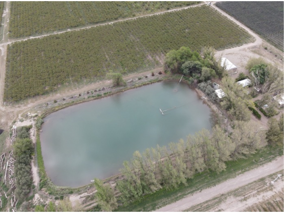 VENTA CONJUNTA DE 3 FINCAS CONTIGUAS - 5