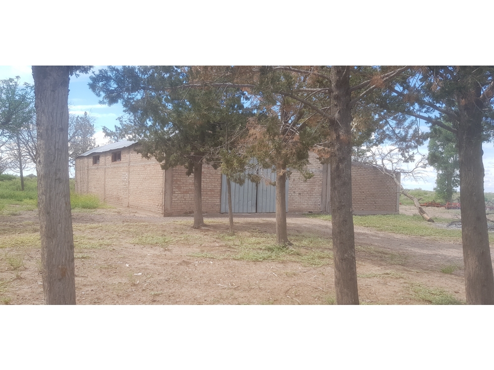 VENDE FINCA DE 1.300 HAS, UBICADA EN LAS CATITAS, MENDOZA. - 2