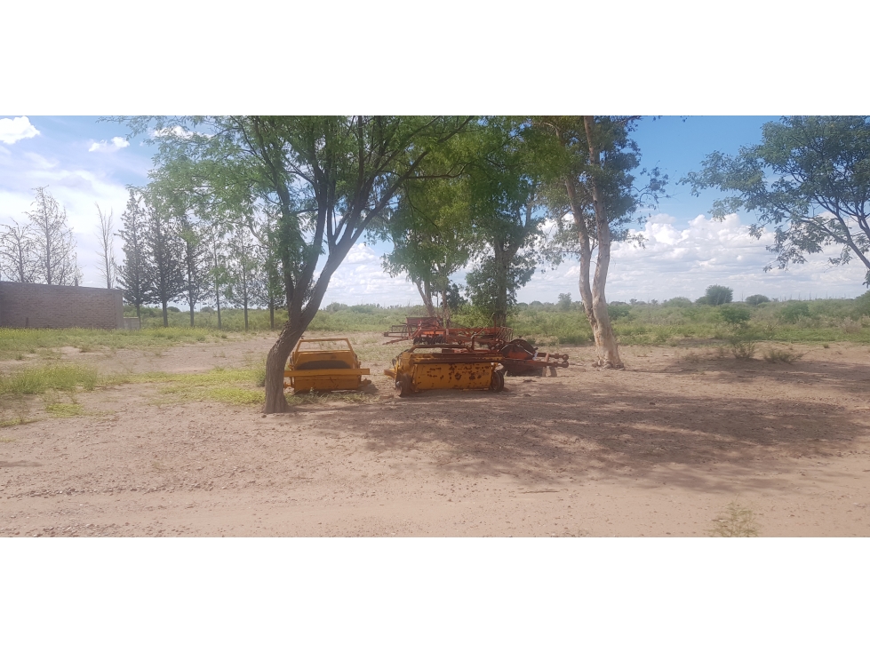 VENDE FINCA DE 1.300 HAS, UBICADA EN LAS CATITAS, MENDOZA. - 5