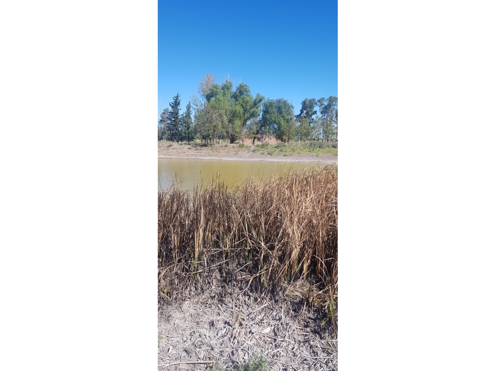 VENDE FINCA DE 1.300 HAS, UBICADA EN LAS CATITAS, MENDOZA. - 6