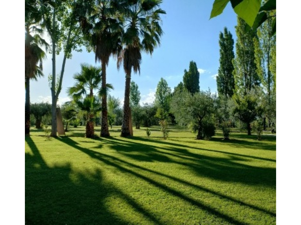 VENDE QUINTA CON SALÓN DE EVENTOS - 1