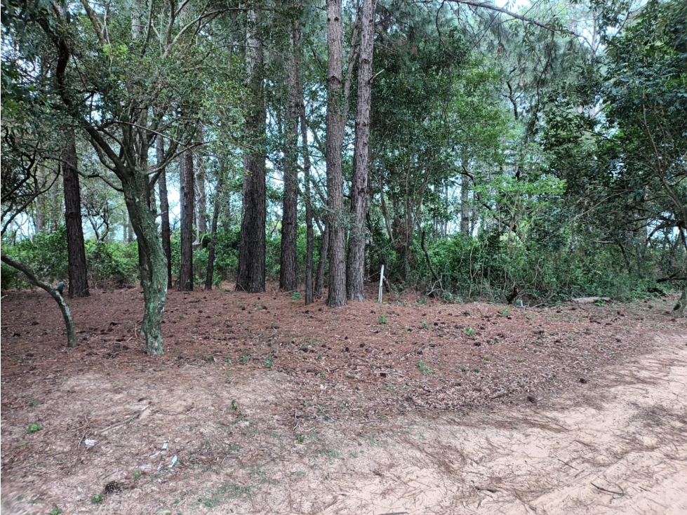 VENDE TERRENO SAN GARA - B° PRIVADO EN ITUZAINGÓ CTES - 2